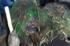 dsc_0414v