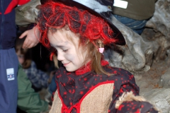 dsc_0419v