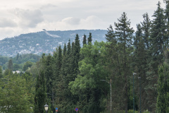 1_DSC_3655