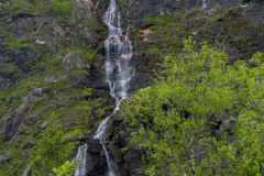 DSC_3253