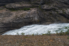 DSC_3341