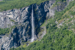 DSC_3523