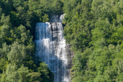 DSC_3534