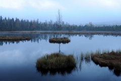 šumava-1-2014
