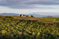 Cappela della Madonna di Vitaleta