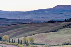 Il Garibaldi
