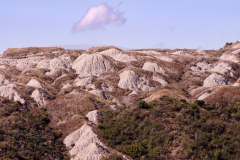 l'oasi la foce