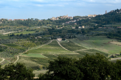 Montepulciano